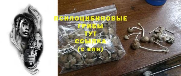 соль ск Алексеевка