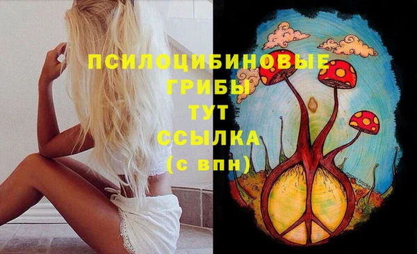 МДПВ Абинск