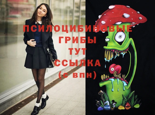 хмурый Абдулино