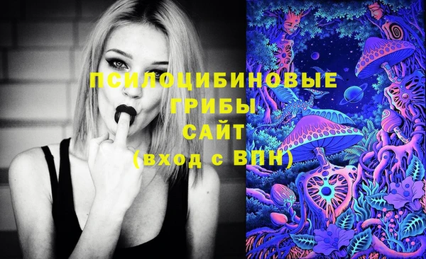 МДПВ Абинск