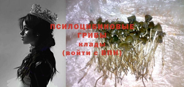 хмурый Абдулино