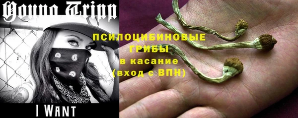 МДПВ Абинск