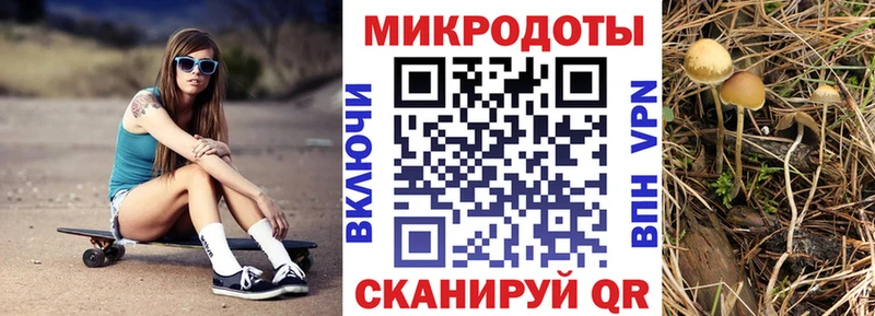 Псилоцибиновые грибы мицелий  Жуковский 